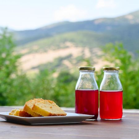 Kalavrita Botanica Hotel & Spa Экстерьер фото