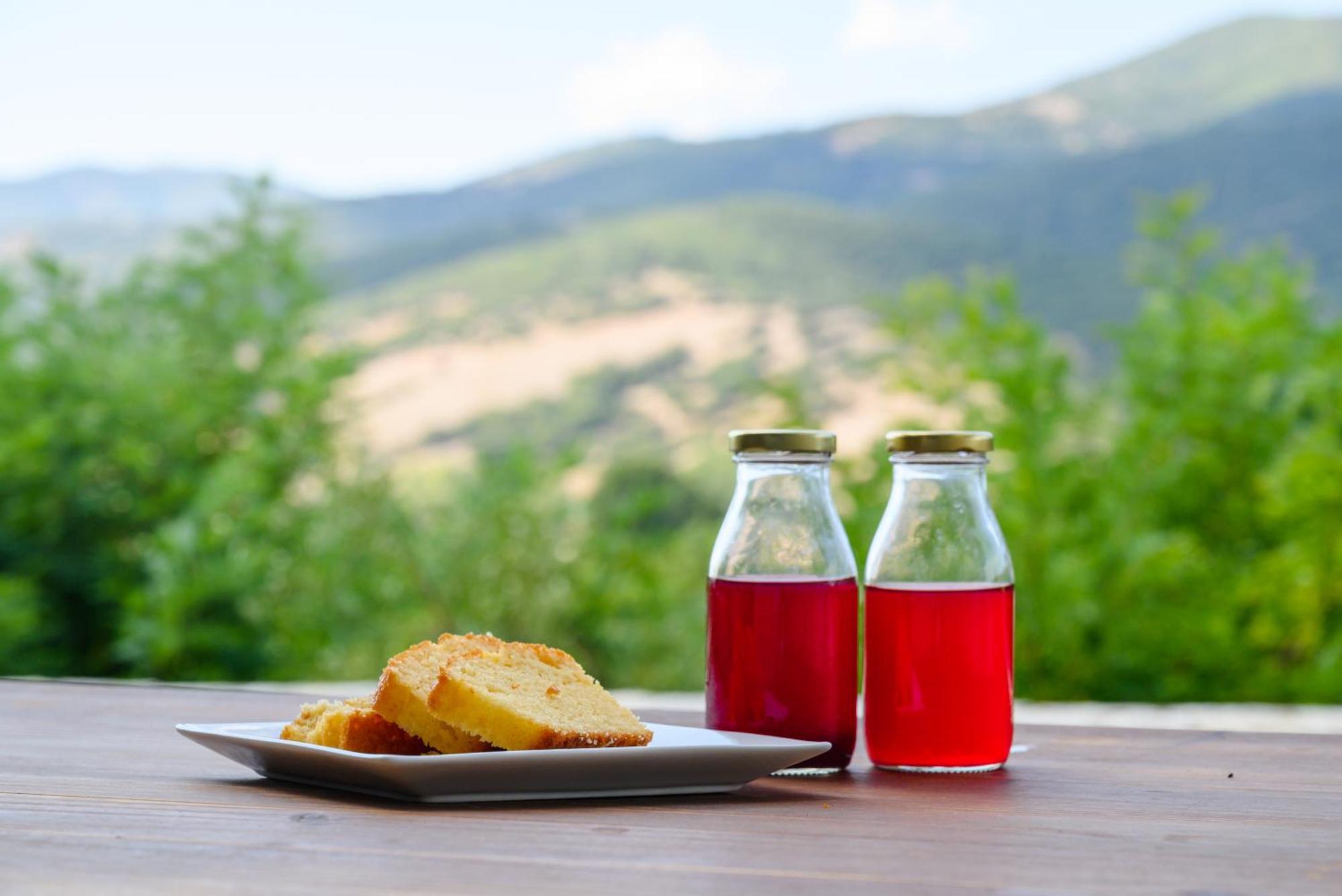 Kalavrita Botanica Hotel & Spa Экстерьер фото